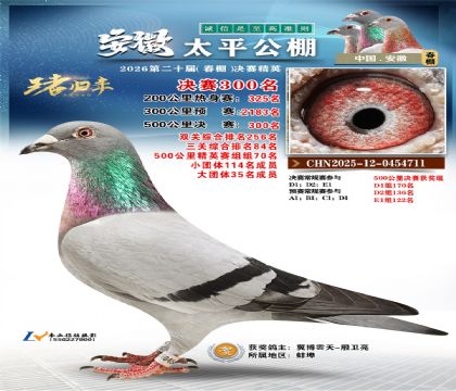 安徽太平决赛300名