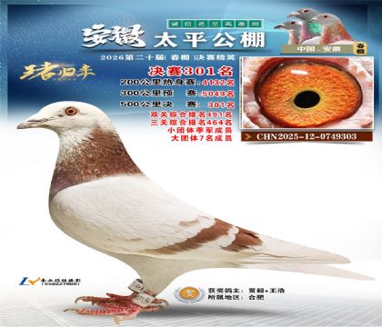 ����̫ƽ����301��