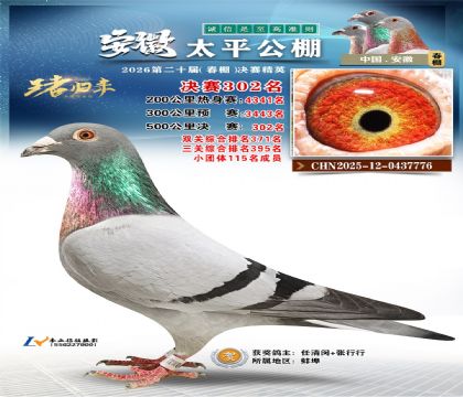 ����̫ƽ����302��