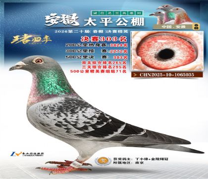 ����̫ƽ����303��