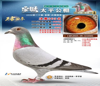 ����̫ƽ����305��