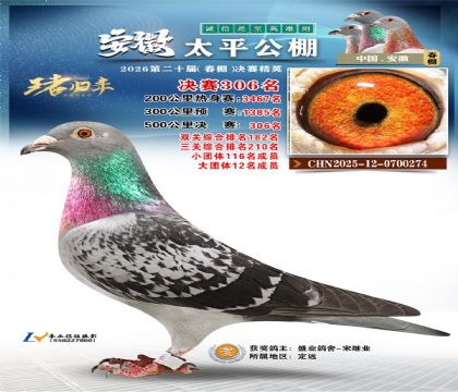 ����̫ƽ����306��