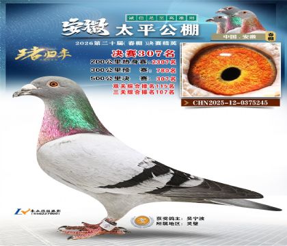 ����̫ƽ����307��