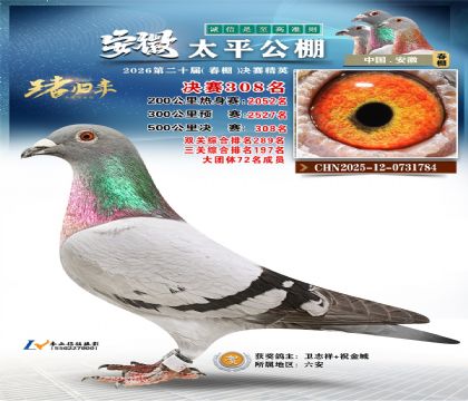 ����̫ƽ����308��