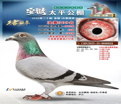 安徽太平决赛309名