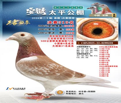 安徽太平决赛310名