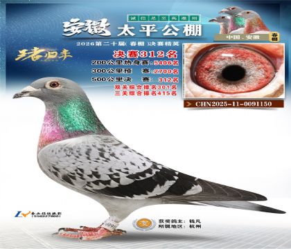 安徽太平决赛312名