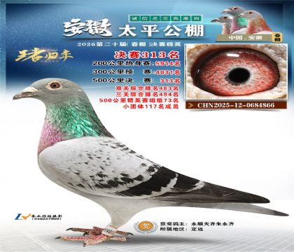 安徽太平决赛313名