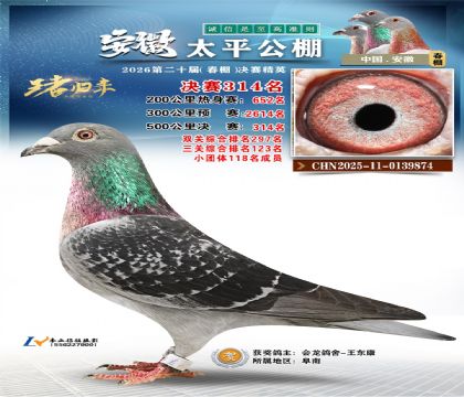 安徽太平决赛314名