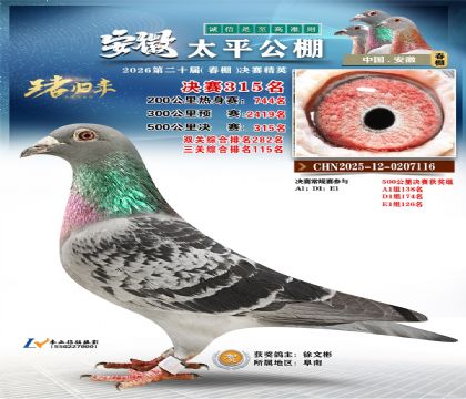 安徽太平决赛315名