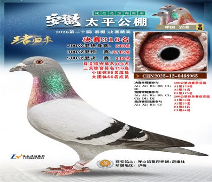 安徽太平决赛316名