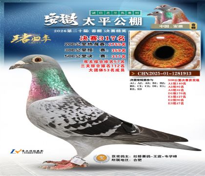 安徽太平决赛317名