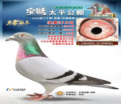 安徽太平决赛318名