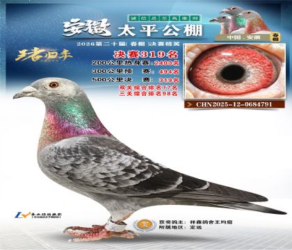 安徽太平决赛319名