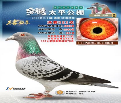 安徽太平决赛321名