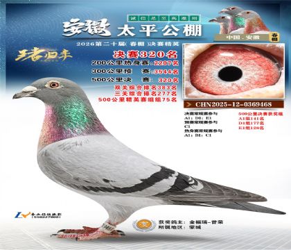 安徽太平决赛320名