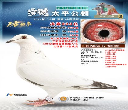 安徽太平决赛322名