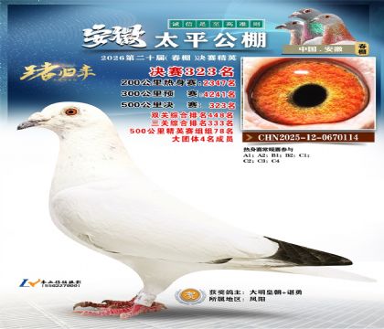 安徽太平决赛323名