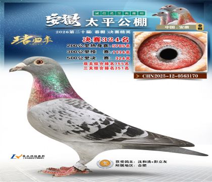 安徽太平决赛324名