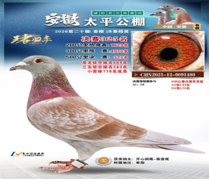 安徽太平决赛325名