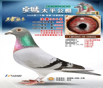 安徽太平决赛326名