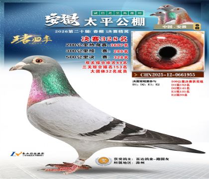 安徽太平决赛328名