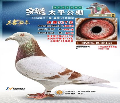 安徽太平决赛327名