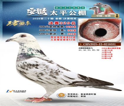 安徽太平决赛329名