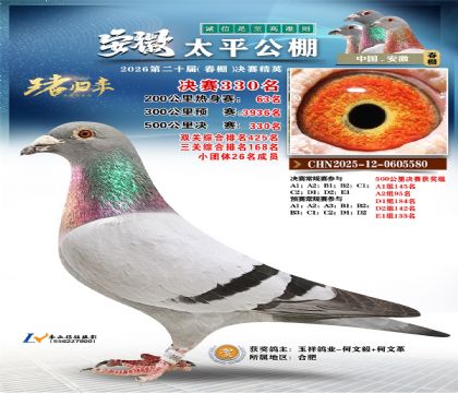 安徽太平决赛330名