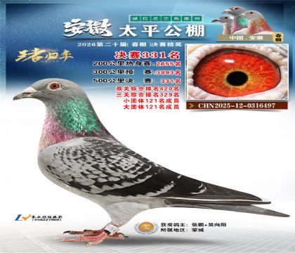 安徽太平决赛331名