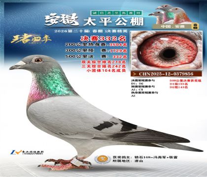 安徽太平决赛332名