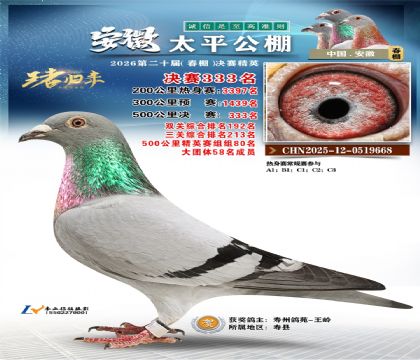 安徽太平决赛333名