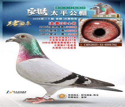 安徽太平决赛334名