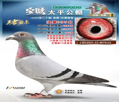 安徽太平决赛335名