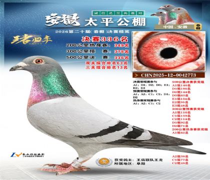 安徽太平决赛336名