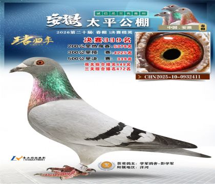 安徽太平决赛339名