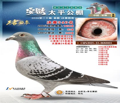 安徽太平决赛340名