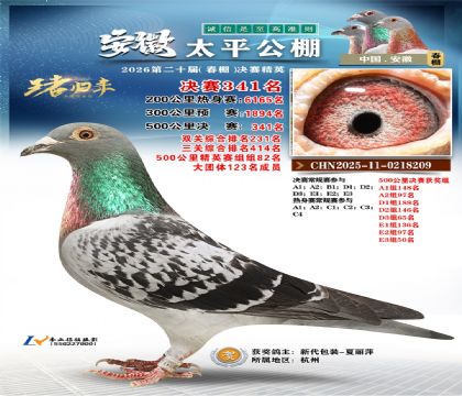 安徽太平决赛341名