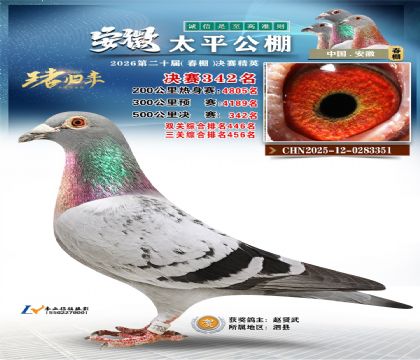 安徽太平决赛342名