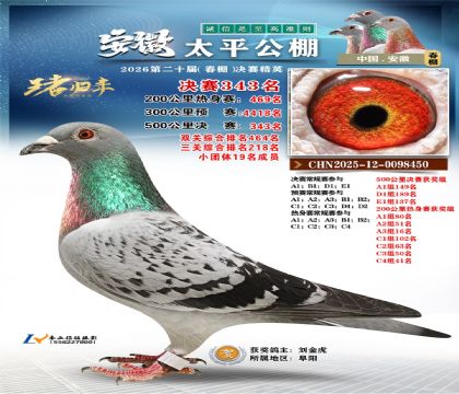 安徽太平决赛343名