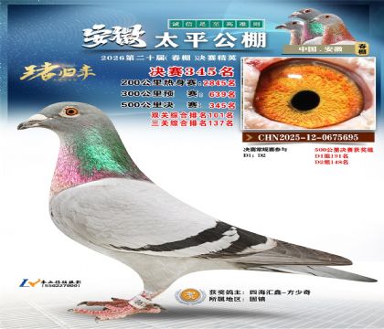 安徽太平决赛345名