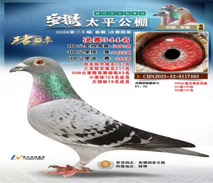 安徽太平决赛344名