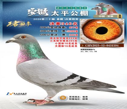 安徽太平决赛346名