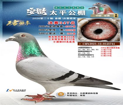 安徽太平决赛347名