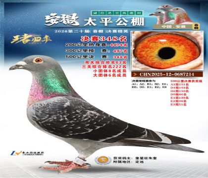 安徽太平决赛348名