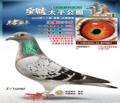 安徽太平决赛350名