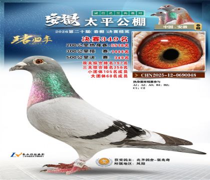 安徽太平决赛349名