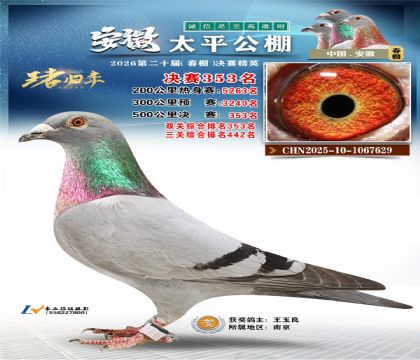 ����̫ƽ����353��