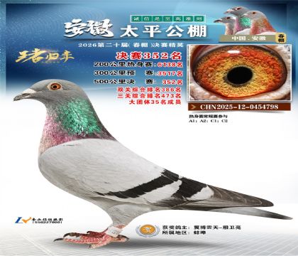 ����̫ƽ����352��