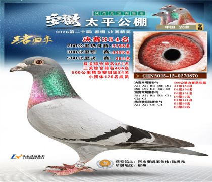 ����̫ƽ����354��